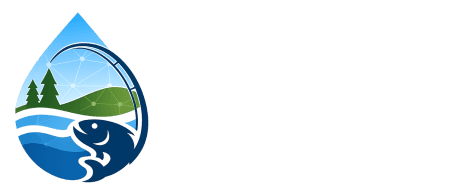 Lake Insights